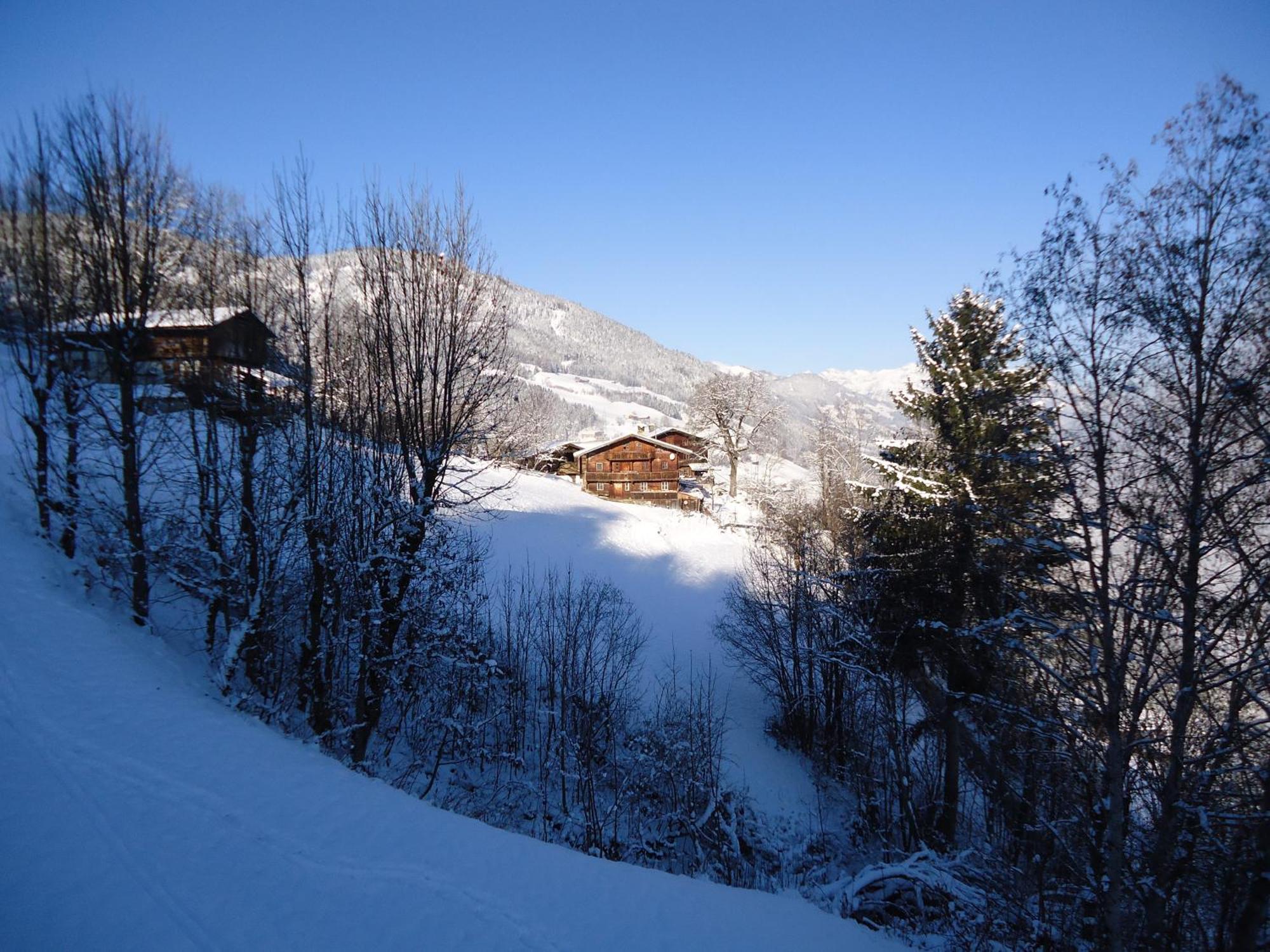 Apart Bianca Zillertal Kaltenbach Luaran gambar
